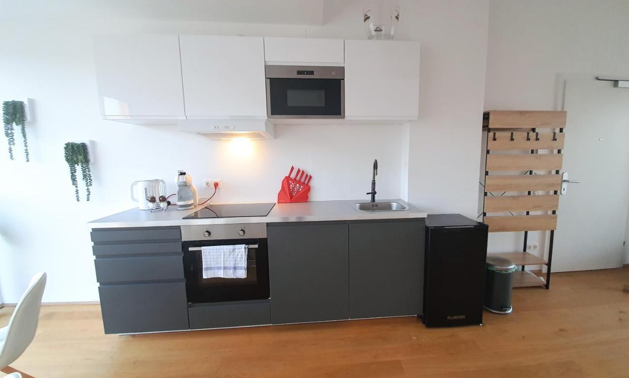 Rooftop Terrace, Free Garage Parking And Pool! 비엔나 외부 사진